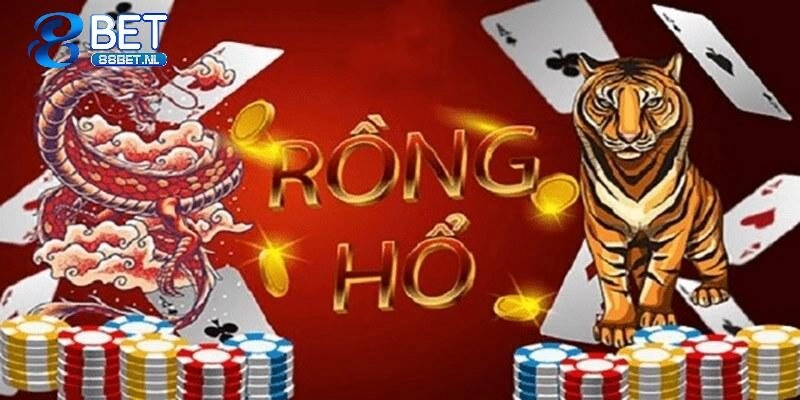 Những lưu ý quan trọng khi chơi Rồng Hổ trực tuyến